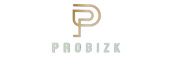 logo2 probizk freelance digital marketer in calicut